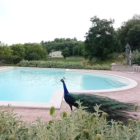 Lochicchiolo San Venanzo